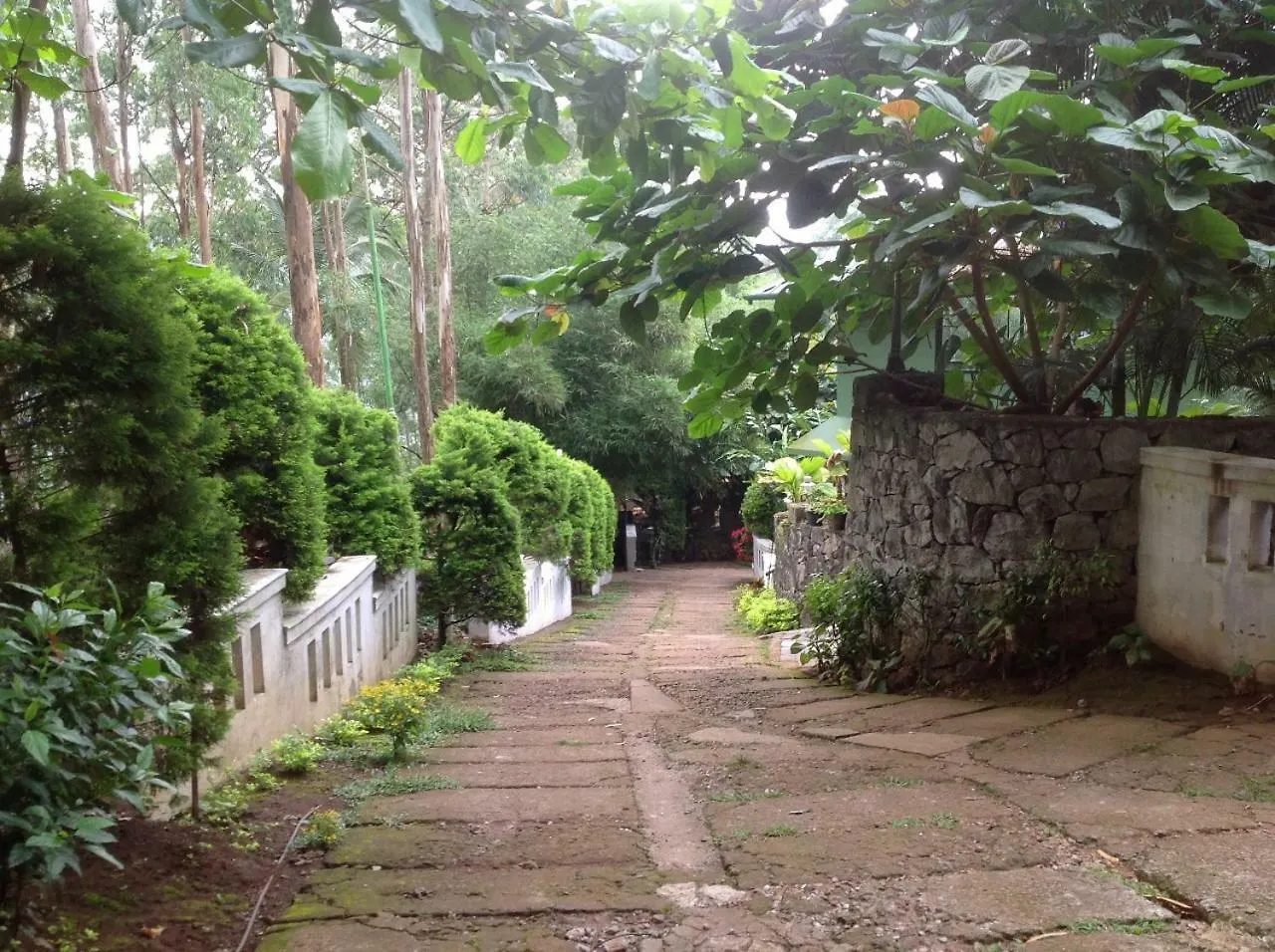 Hotel Wyte Mist Mountain Club Munnar 3*,