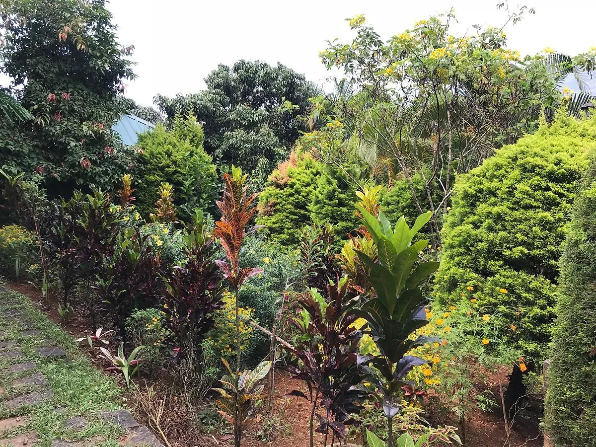 Wyte Mist Mountain Club Hotel Munnar Resort