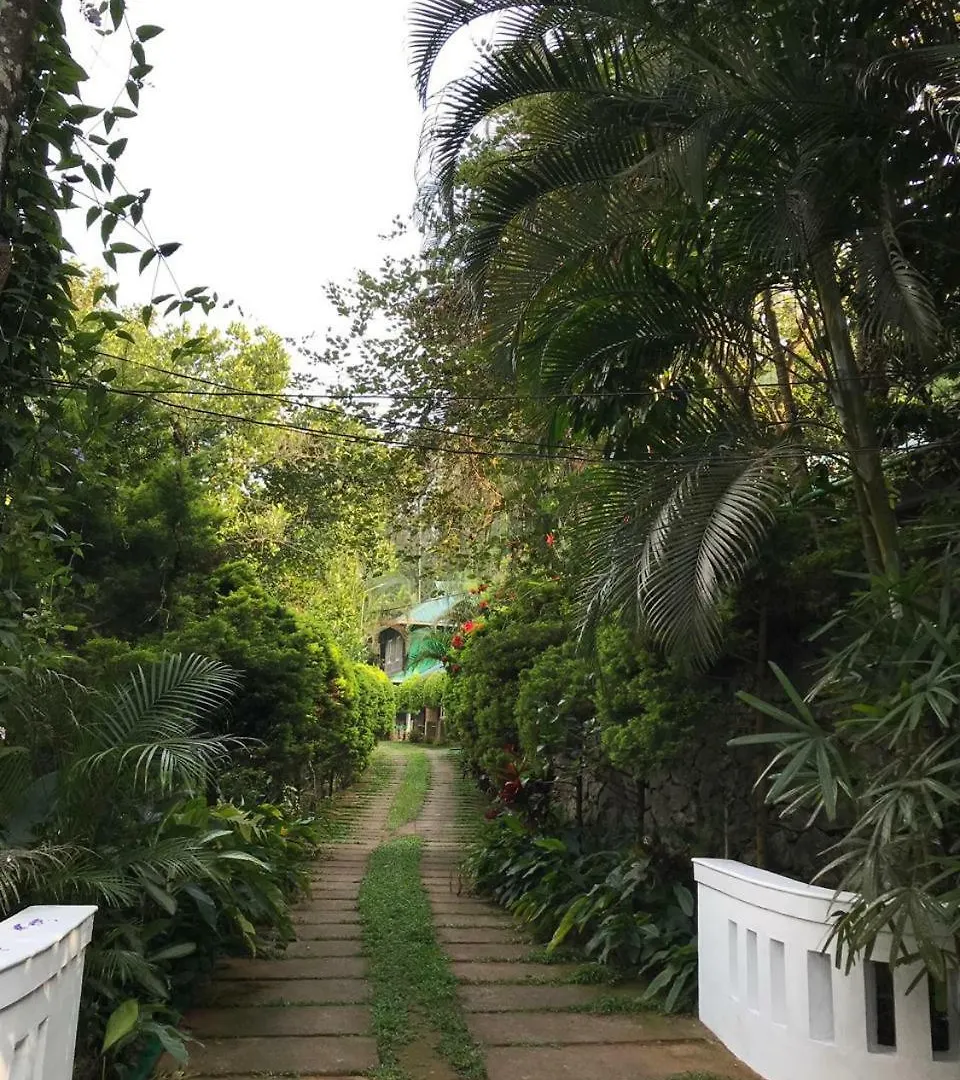 Wyte Mist Mountain Club Hotel Munnar
